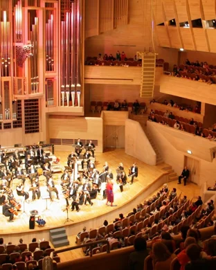 Les Choristes In Concert