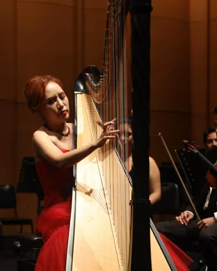 Garneau String Quartet