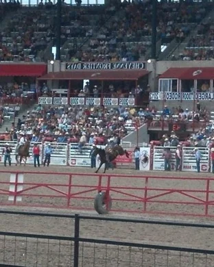 Calgary Stampede Evening Show