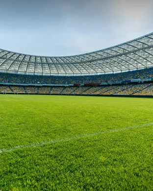 Stade Boreale